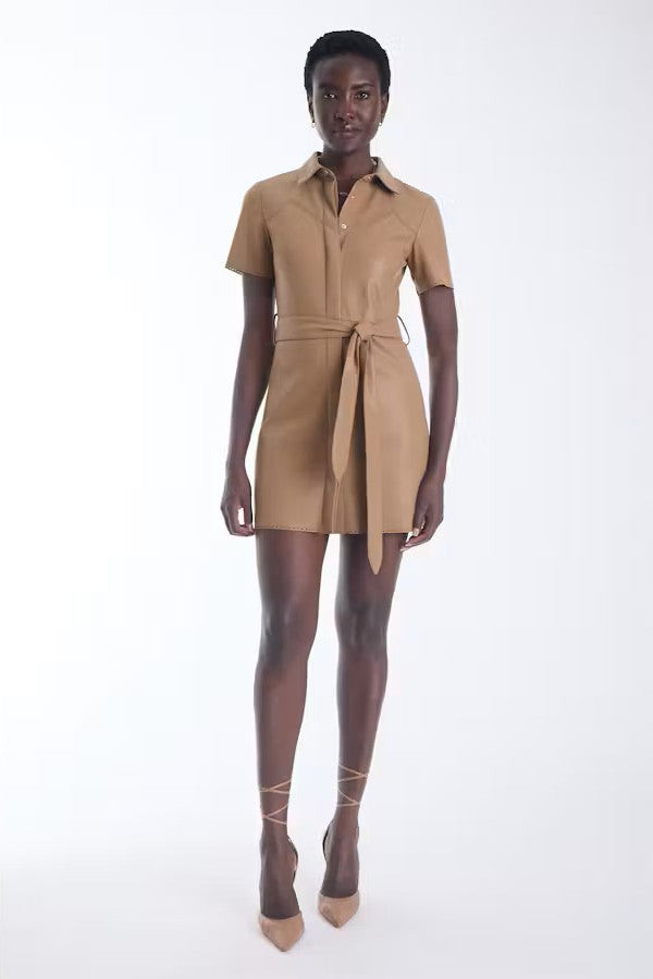 Mallie Vegan Leather Dress