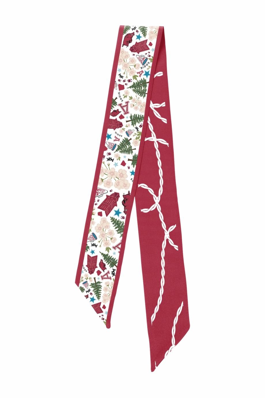 Arkansas Razorbacks Skinny Scarf - Saturday Silks - COLOR GAME