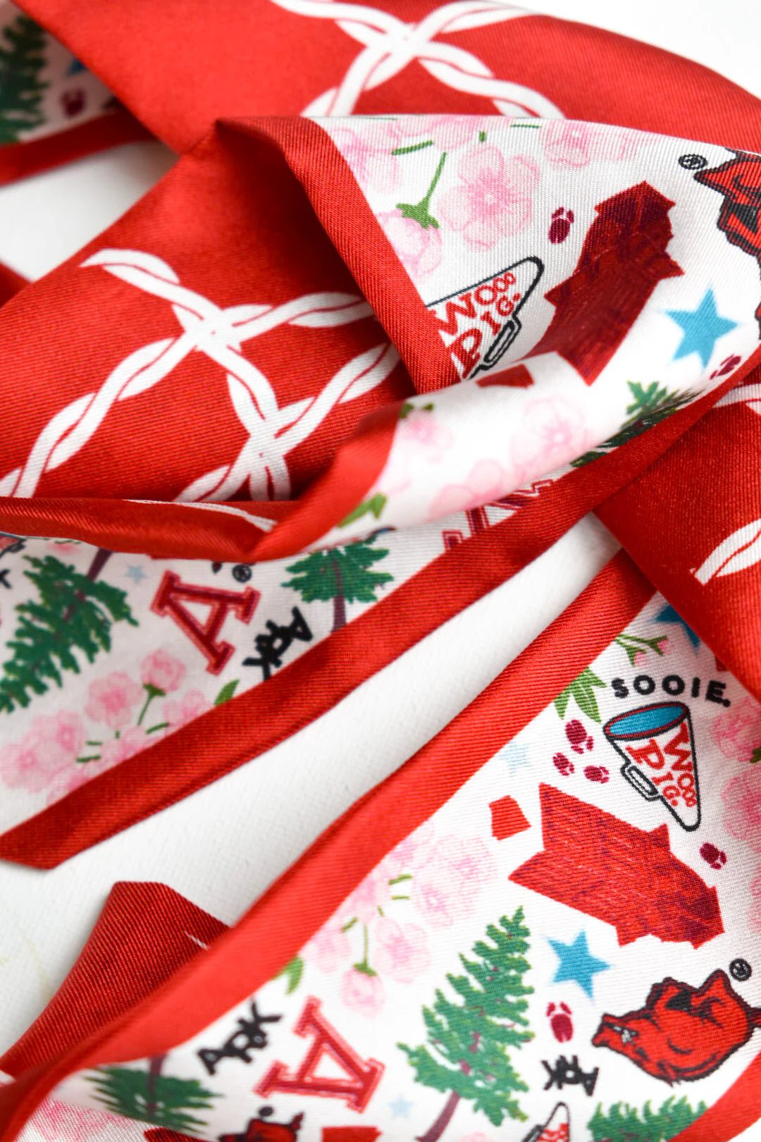 Arkansas Razorbacks Skinny Scarf - Saturday Silks - COLOR GAME