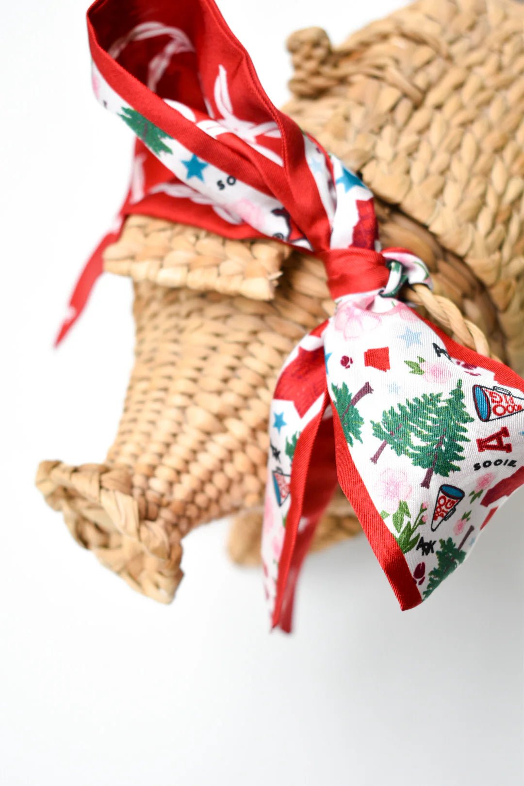 Arkansas Razorbacks Skinny Scarf - Saturday Silks - COLOR GAME