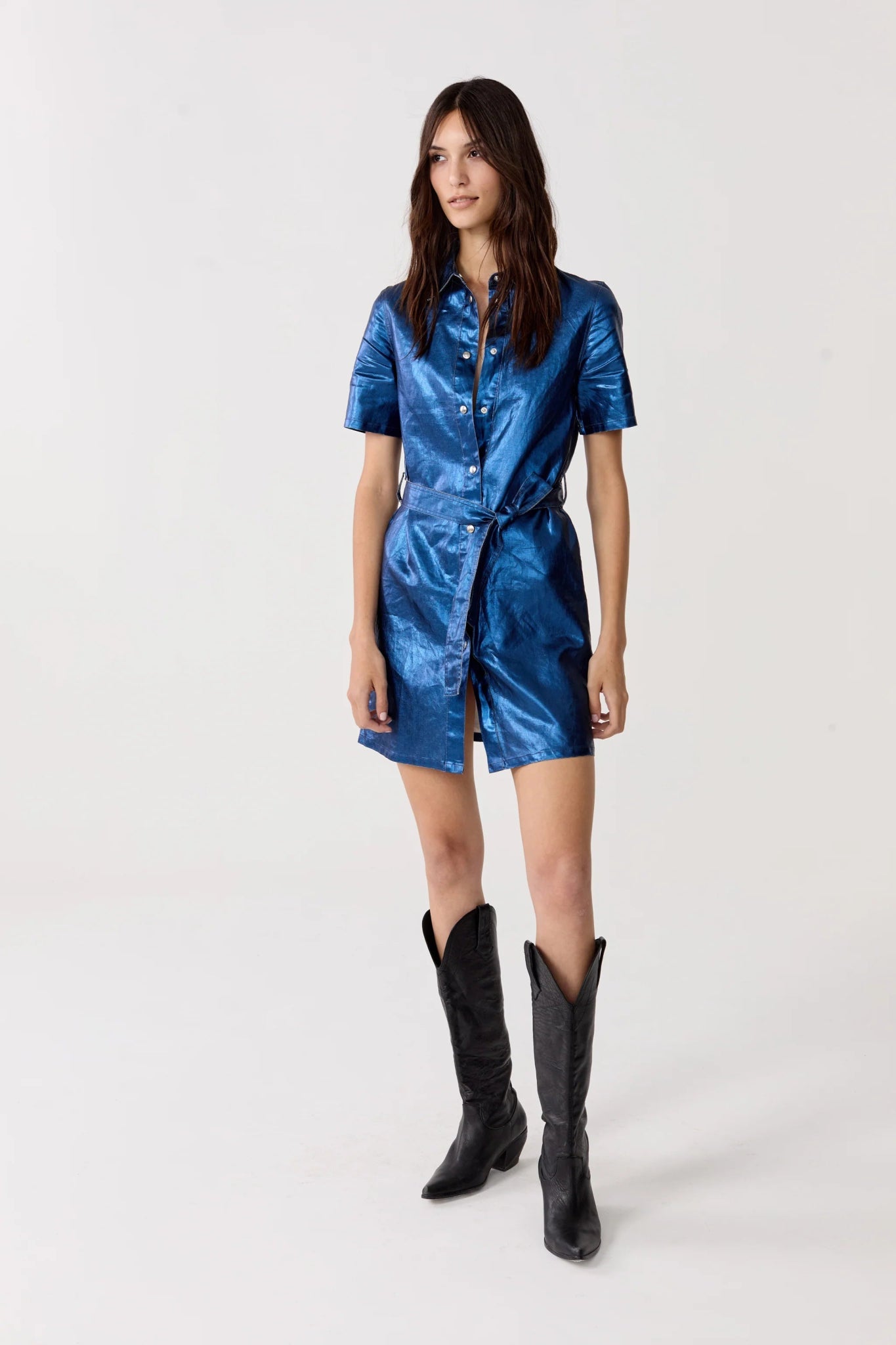 dark metallic dress Lanhtropy Franca Metallic Linen Dress