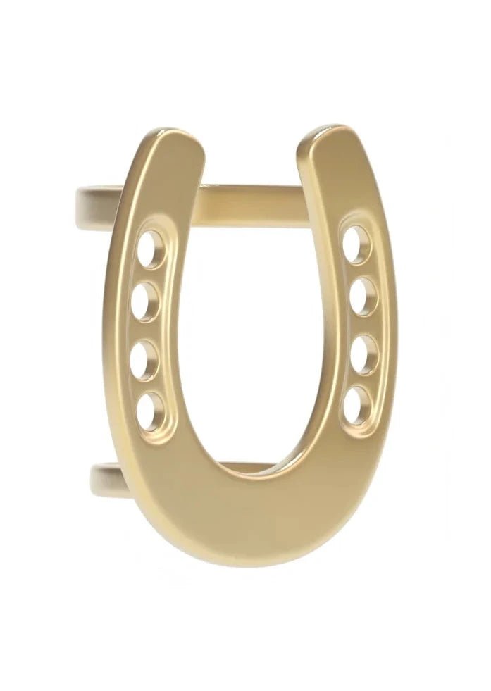 Lucky Horseshoe Saturday Scarf Ring - Saturday Silks - COLOR GAME