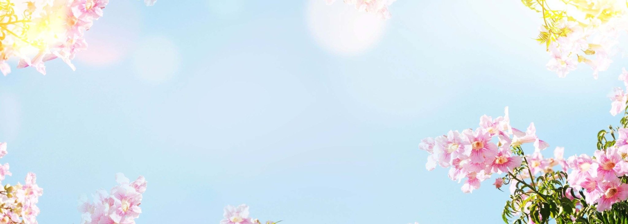 Spring - COLOR GAME