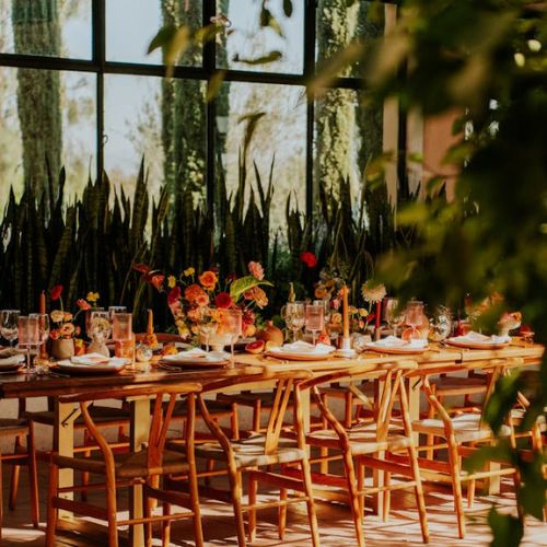 Wedding Guest - COLOR GAME