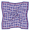 Blue + Red Checkerboard Gameday Scarf - Swells - COLOR GAME