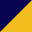 Navy and Gold