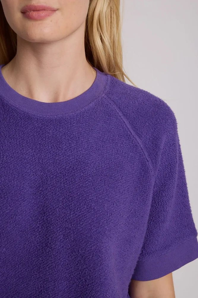 Ziggy Short Sleeve Sweatshirt Purple - perfectwhitetee - COLOR GAME