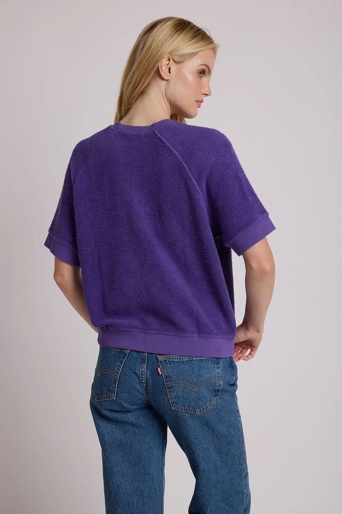 Ziggy Short Sleeve Sweatshirt Purple - perfectwhitetee - COLOR GAME